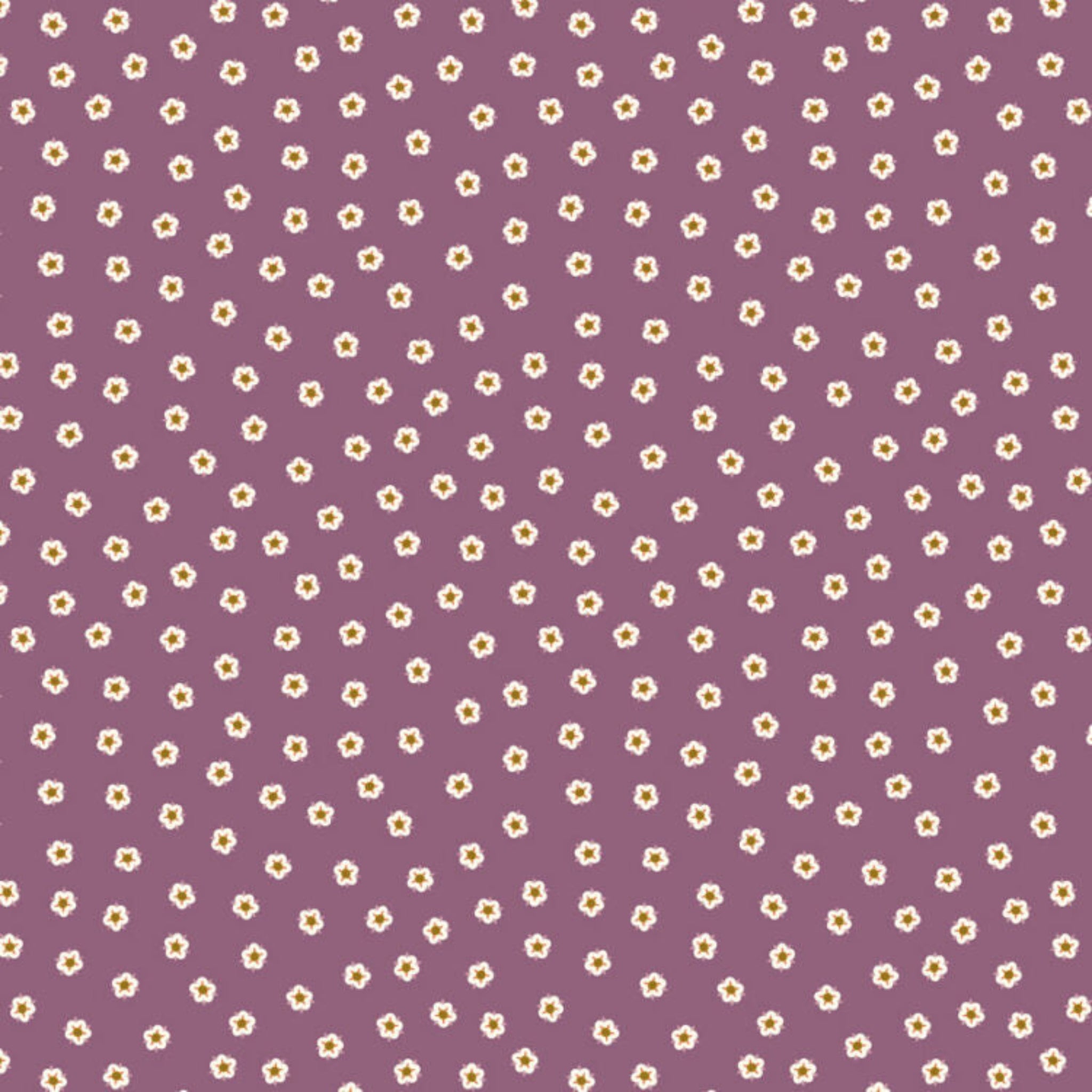 Small white flowers with yellow centers on a purple background
